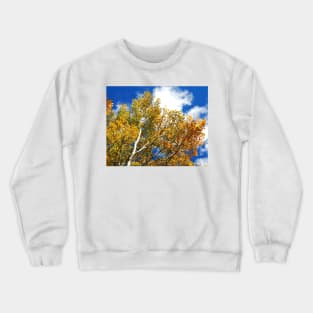 Blue Rocky Mountain Skies and Golden Aspen Trees in fall Crewneck Sweatshirt